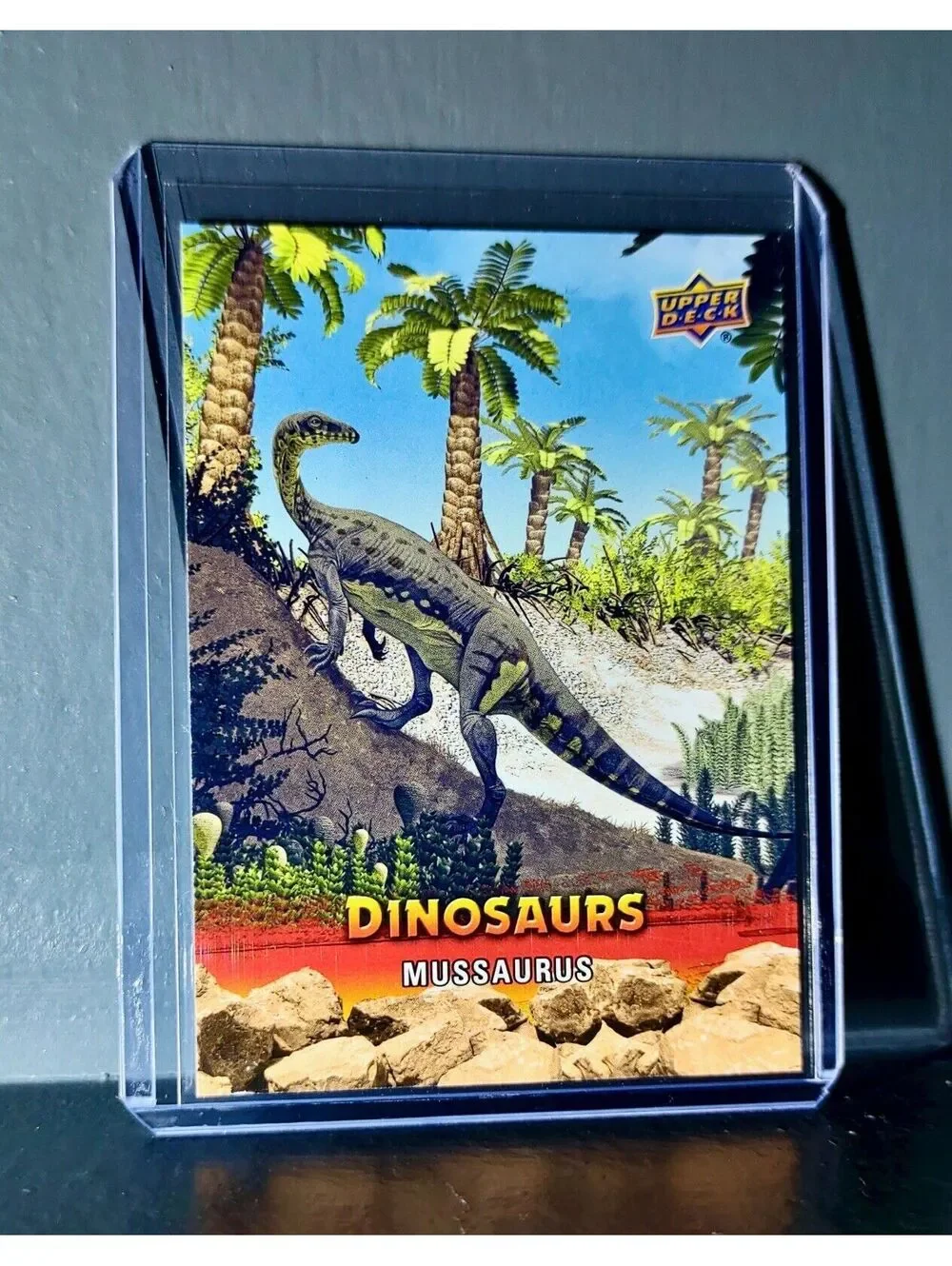 2015 Upper Deck Dinosaurs Mussaurus Extinction Red Parallel #29 Card